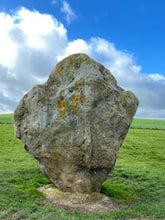 Cargar imagen en el visor de la galería, Dragons Light workshop