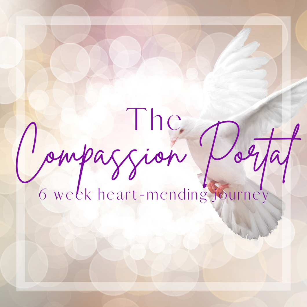 The Compassion Portal