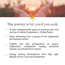 Charger l&#39;image dans la galerie, The Compassion Portal
